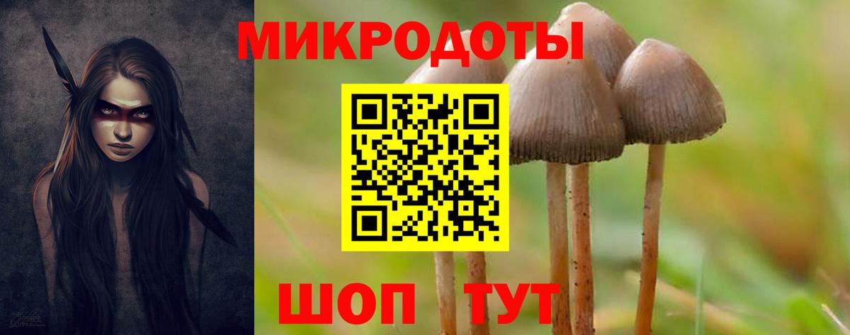 Чебоксары  Галлюциногенные грибы прущие грибы  Вход с VPN  Галлюциногенные грибы Magic Shrooms 
