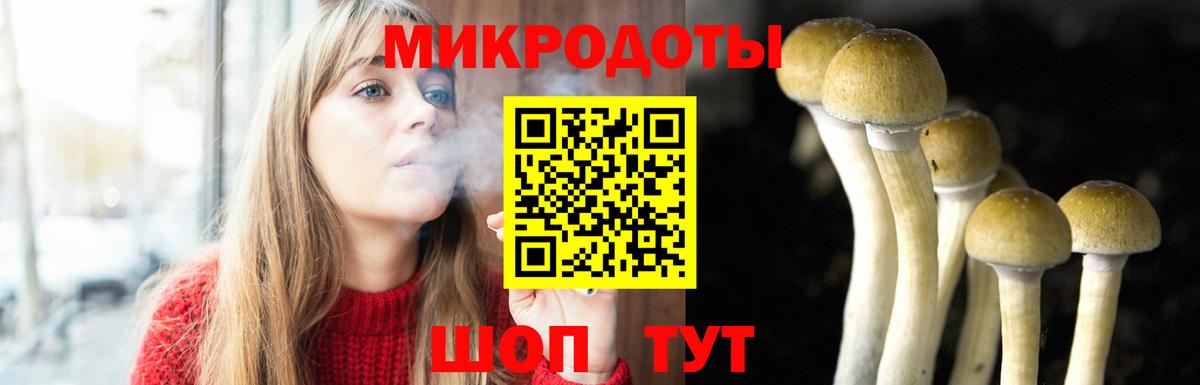 Галлюциногенные грибы прущие грибы Чебоксары