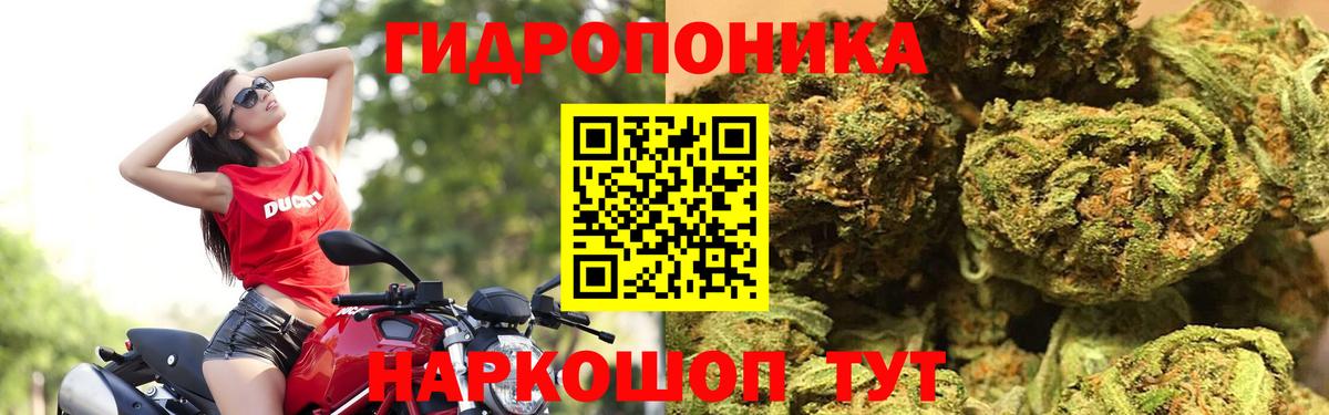 Канабис AK-47  Вход с VPN  Марихуана MAZAR  Чебоксары  Шишки марихуана тримм 